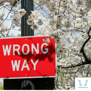 Wrong-way